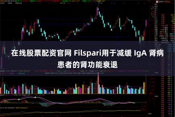 在线股票配资官网 Filspari用于减缓 IgA 肾病患者的肾功能衰退